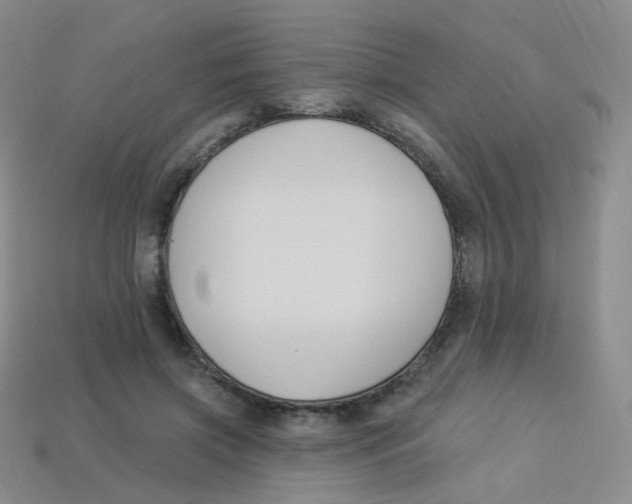 X0000113270549200910081403