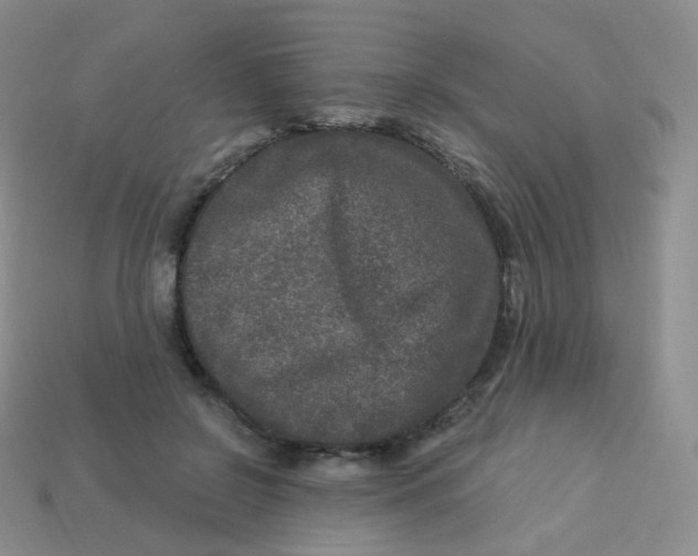 X0000113270550200910081403