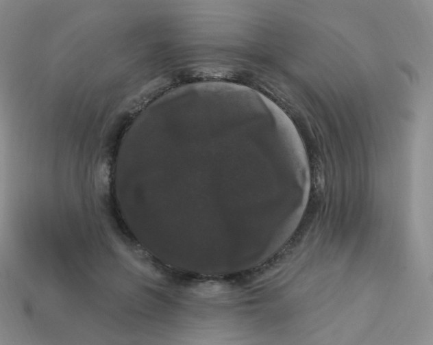 X0000113270551200910081403