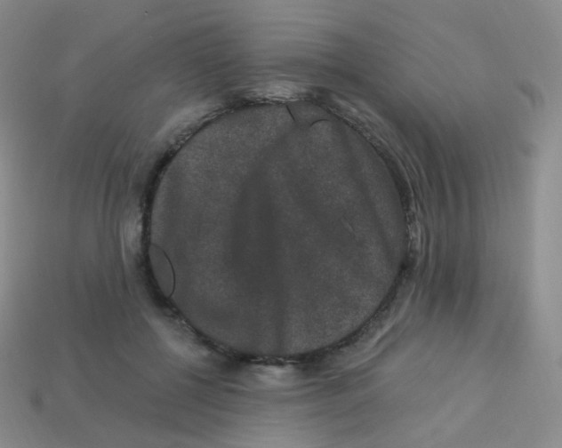 X0000113270552200910081403