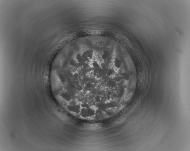 X0000113270553200910081403