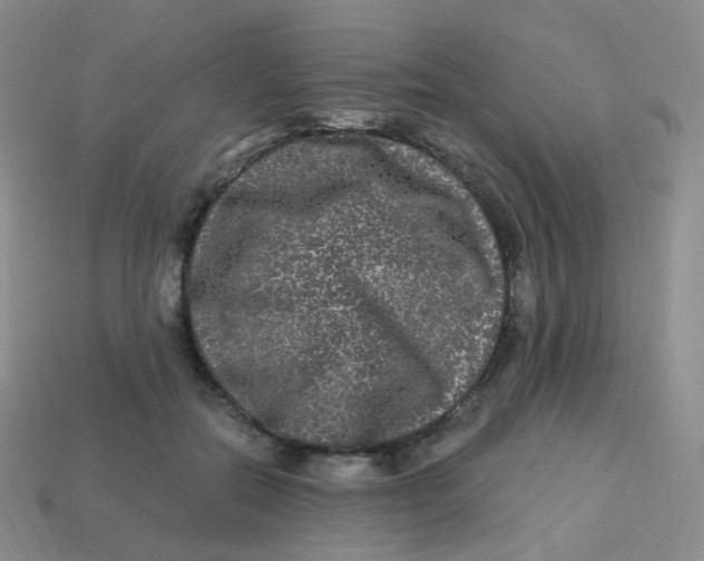 X0000113270554200910081403