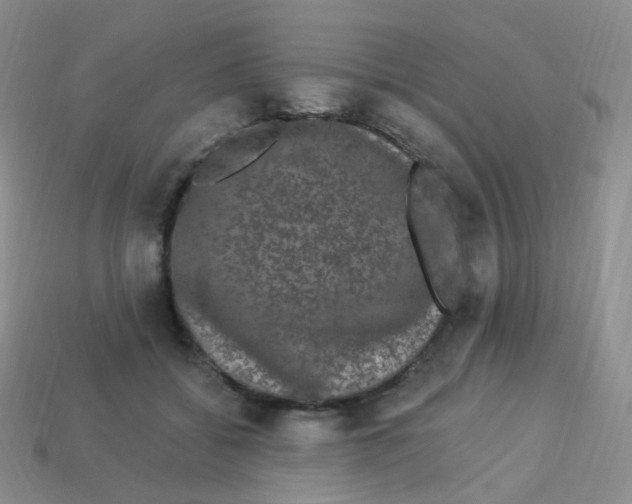 X0000113270556200910081403