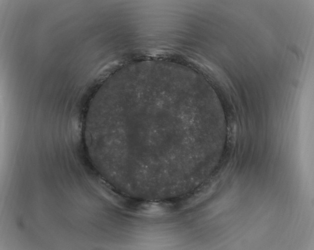 X0000113270558200910081403