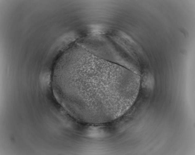 X0000113270560200910081403