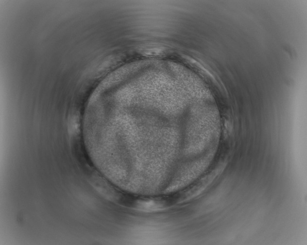 X0000113270561200910081403