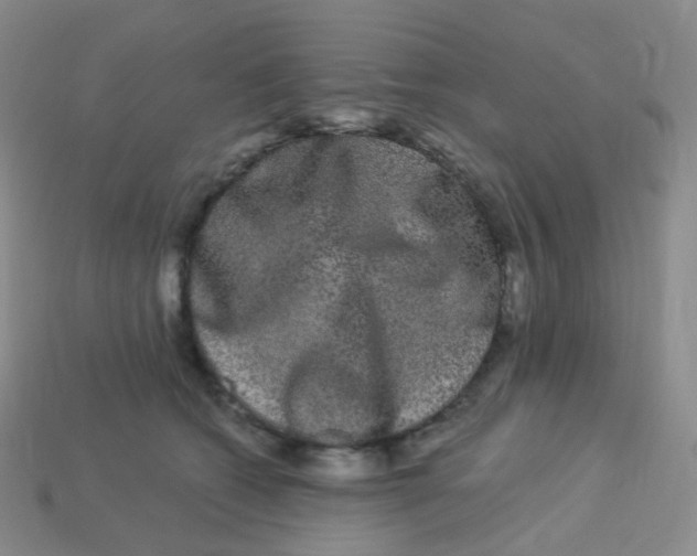 X0000113270562200910081403