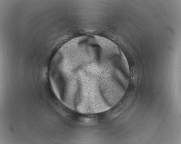 X0000113270563200910081403