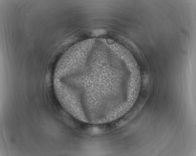 X0000113270565200910081403