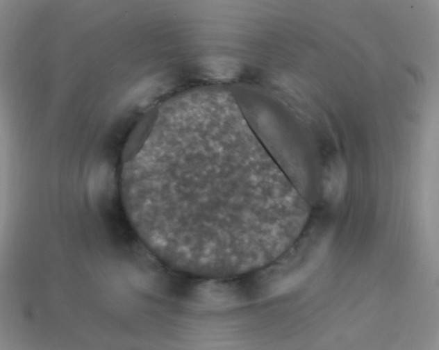 X0000113270568200910081403