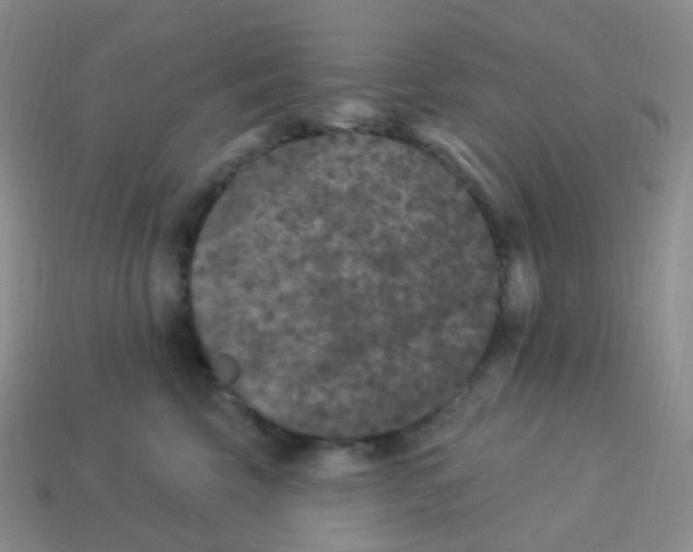 X0000113270569200910081403