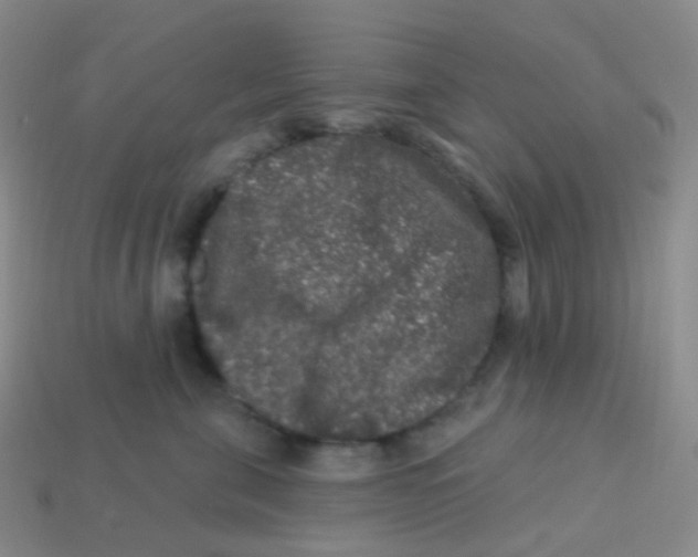 X0000113270571200910081403