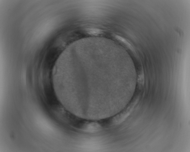 X0000113270572200910081403