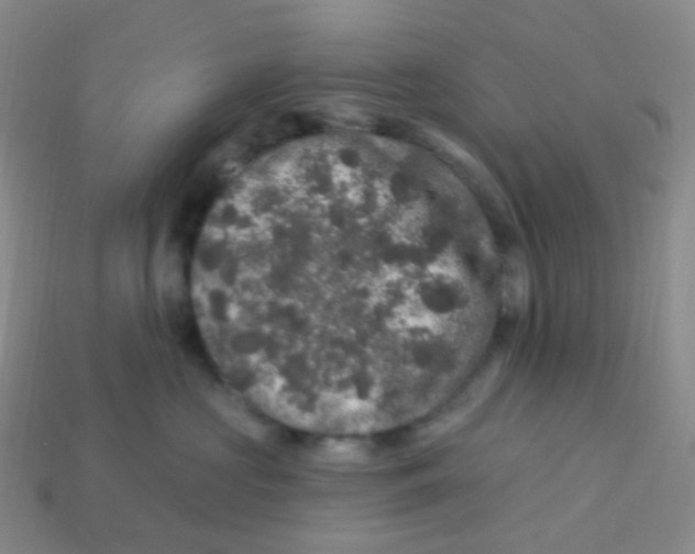 X0000113270573200910081403