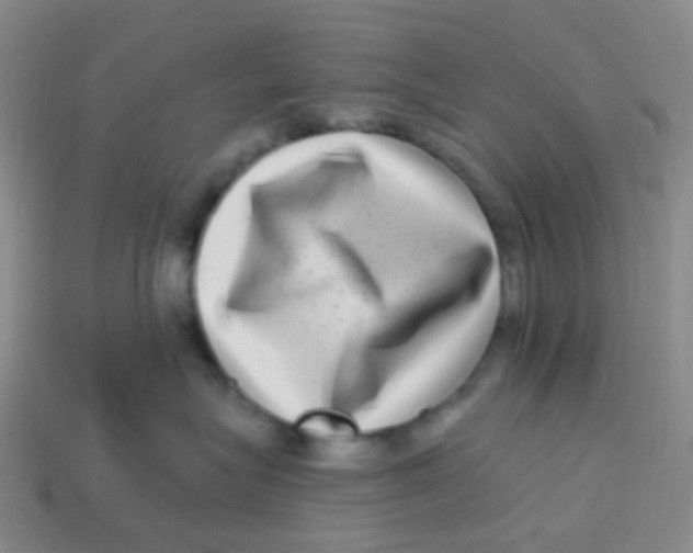 X0000113270575200910081403