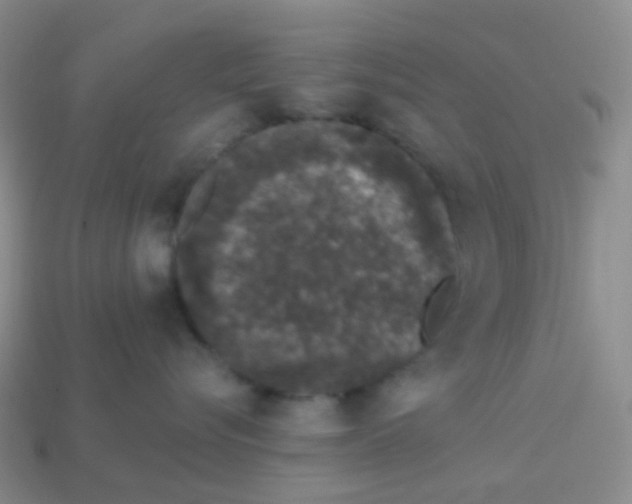 X0000113270576200910081403