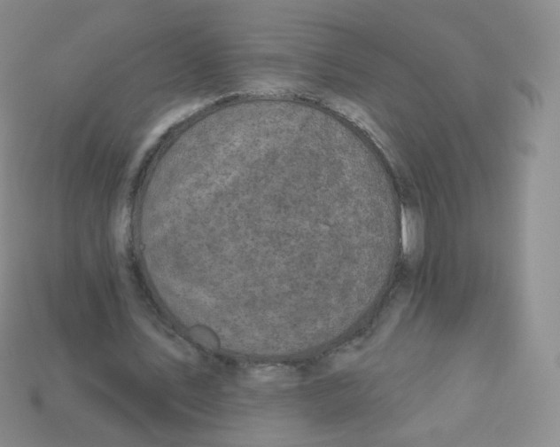 X0000113270579200910081402