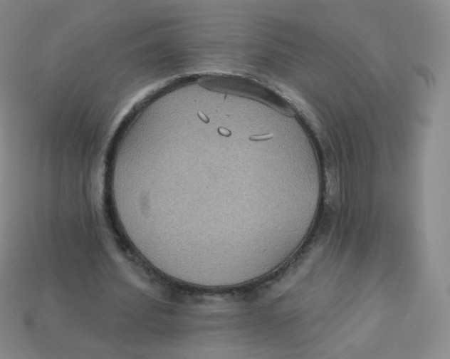 X0000113270580200910081402