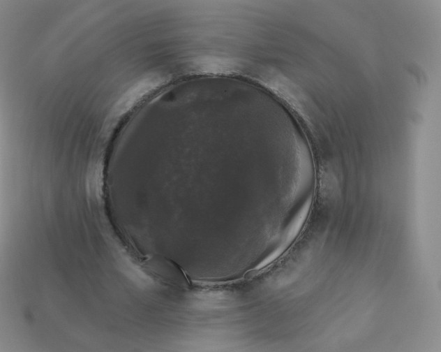 X0000113270581200910081402