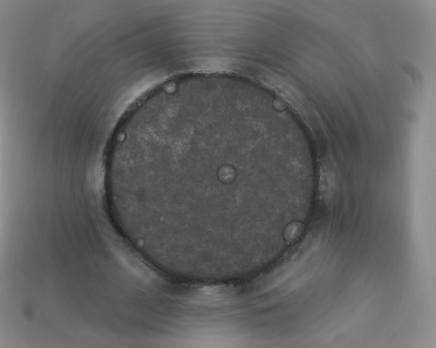 X0000113270584200910081402