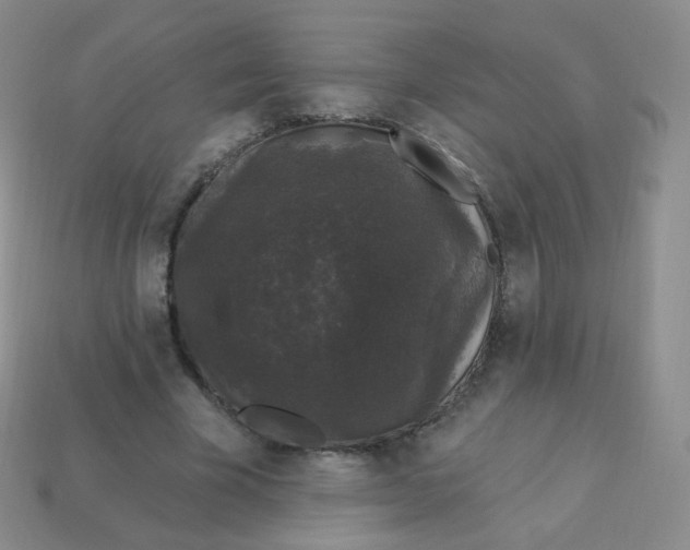 X0000113270585200910081402