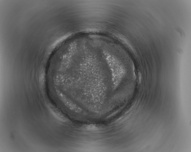 X0000113270588200910081402