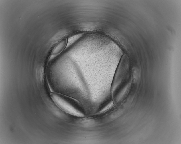 X0000113270589200910081402