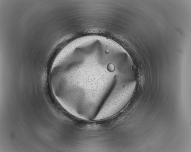 X0000113270591200910081402