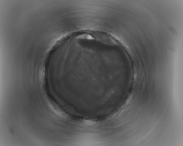 X0000113270592200910081402