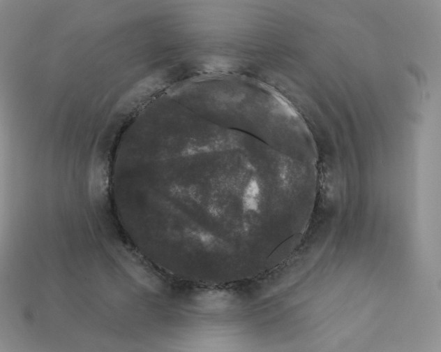 X0000113270593200910081402