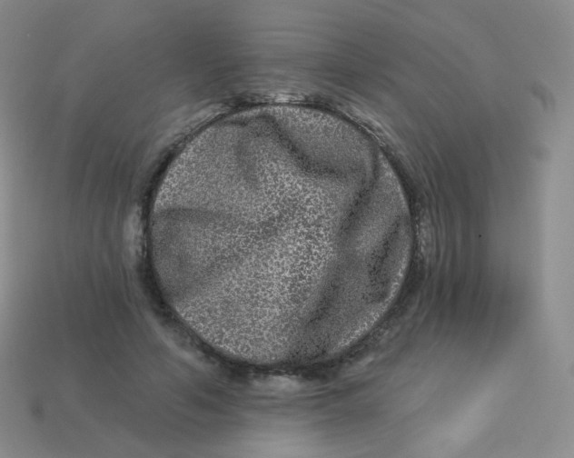 X0000113270594200910081402