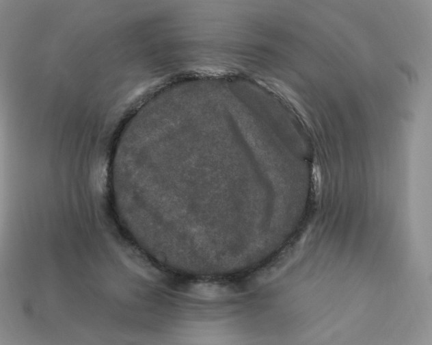 X0000113270596200910081402