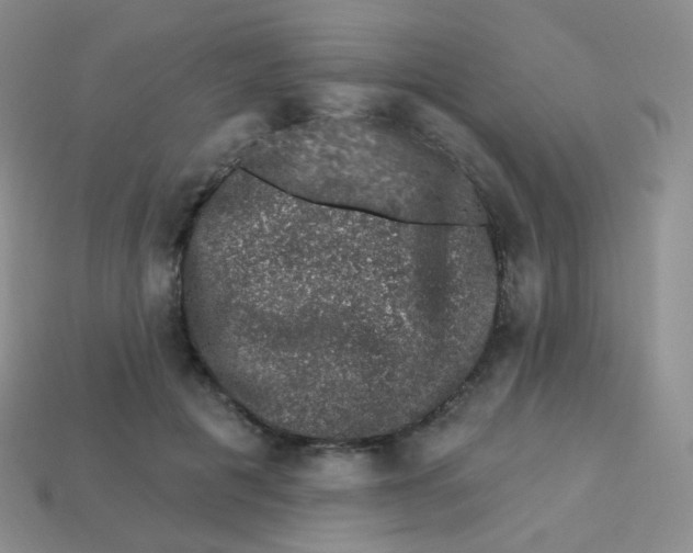 X0000113270601200910081402