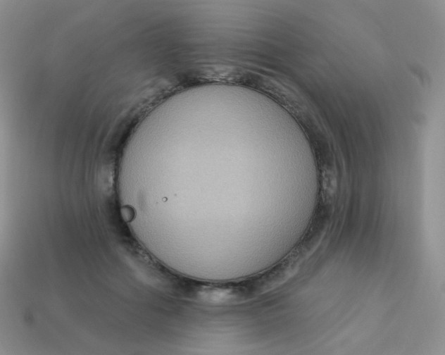 X0000113270602200910081402