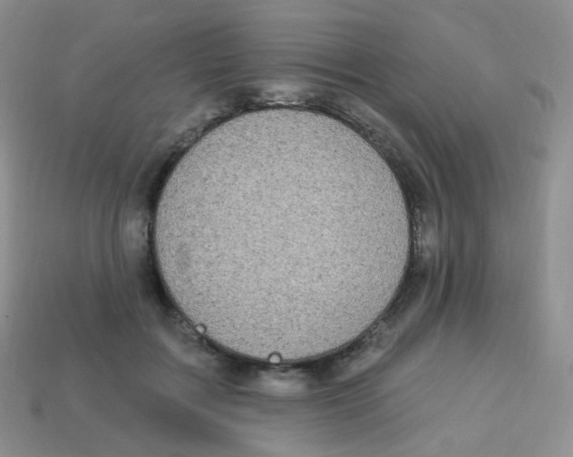 X0000113270603200910081402