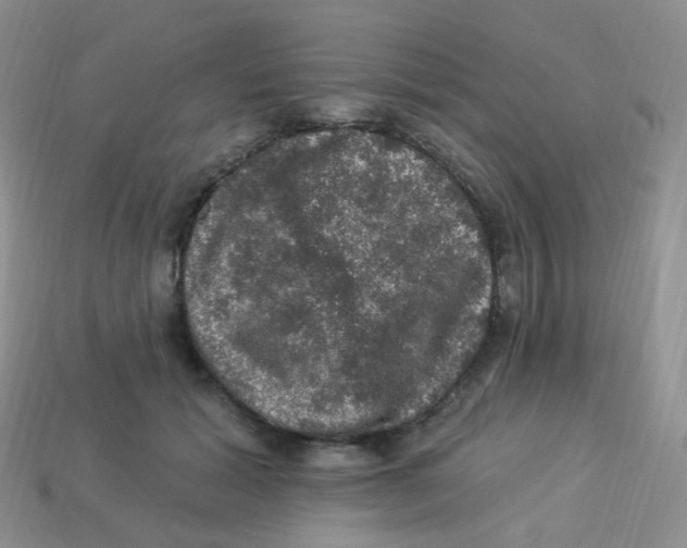 X0000113270605200910081402