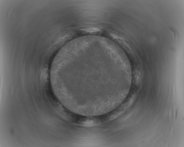 X0000113270612200910081402