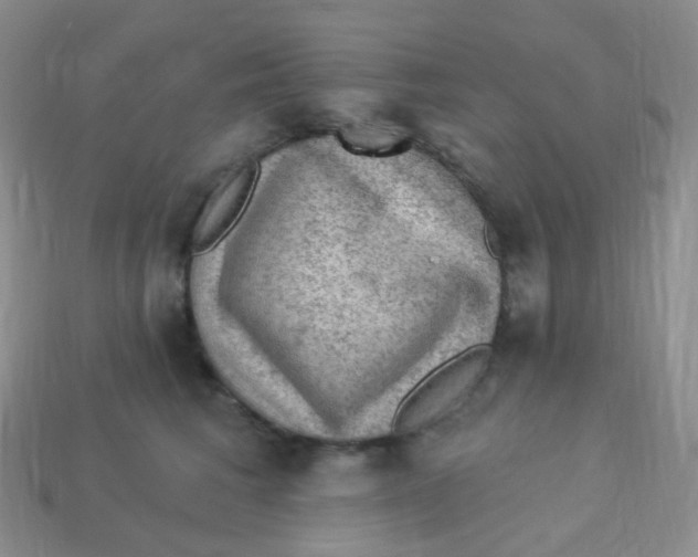 X0000113270613200910081402