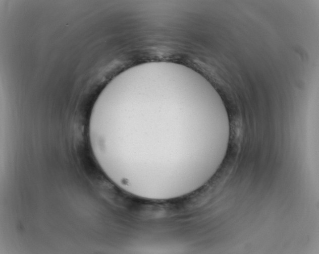 X0000113270615200910081402