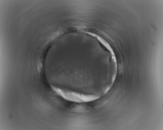 X0000113270618200910081402