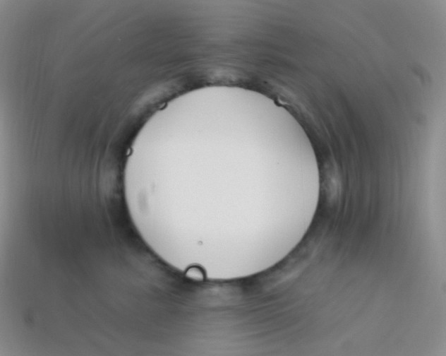 X0000113270619200910081402