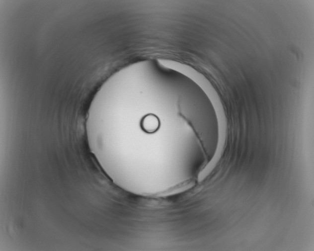 X0000113270621200910081402