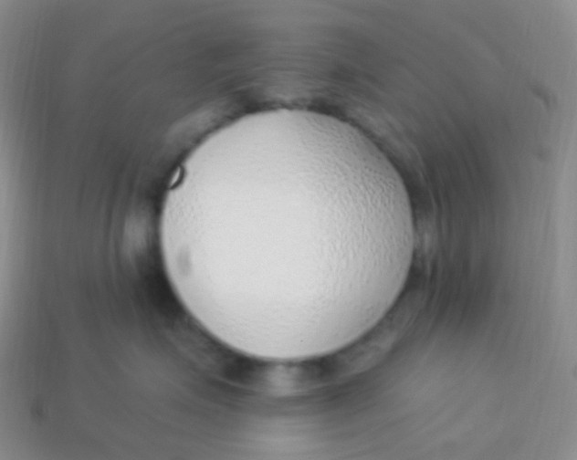 X0000113270623200910081402