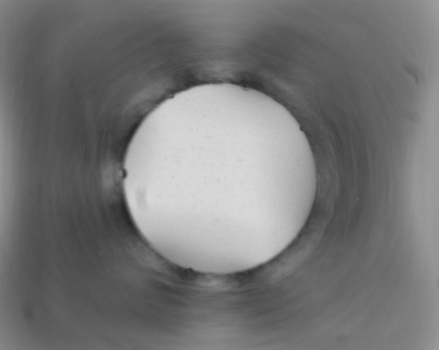 X0000113270624200910081402