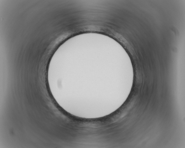 X0000113270625200910081401