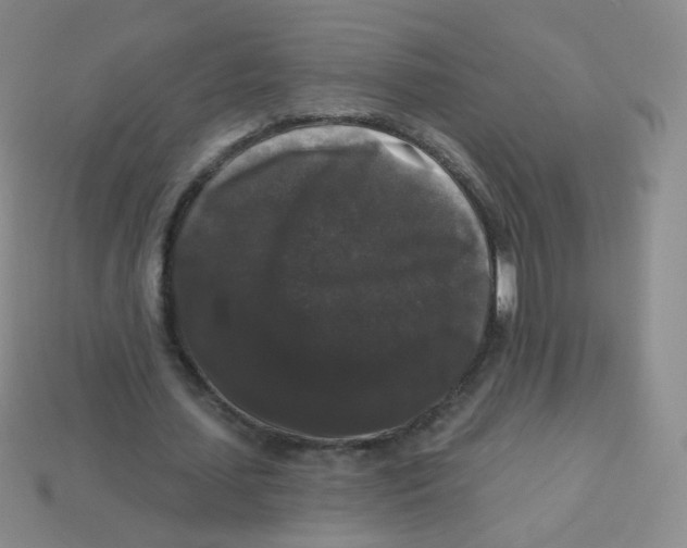 X0000113270627200910081401