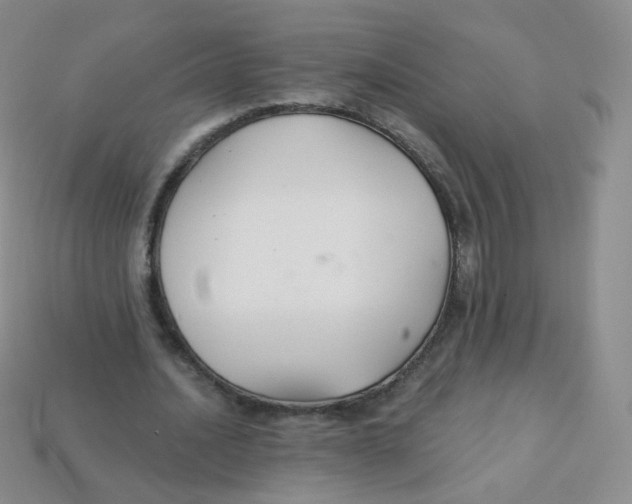 X0000113270628200910081401