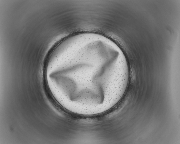 X0000113270630200910081401