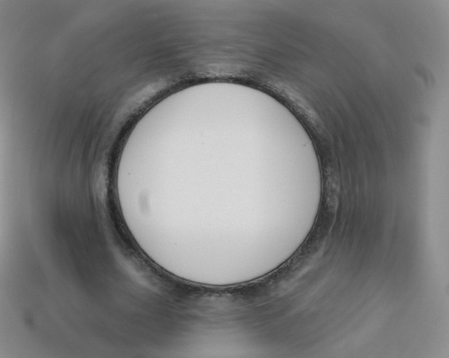 X0000113270631200910081401