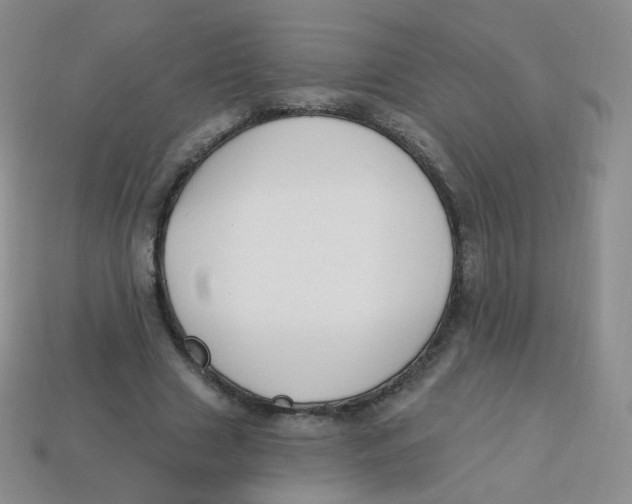 X0000113270633200910081401